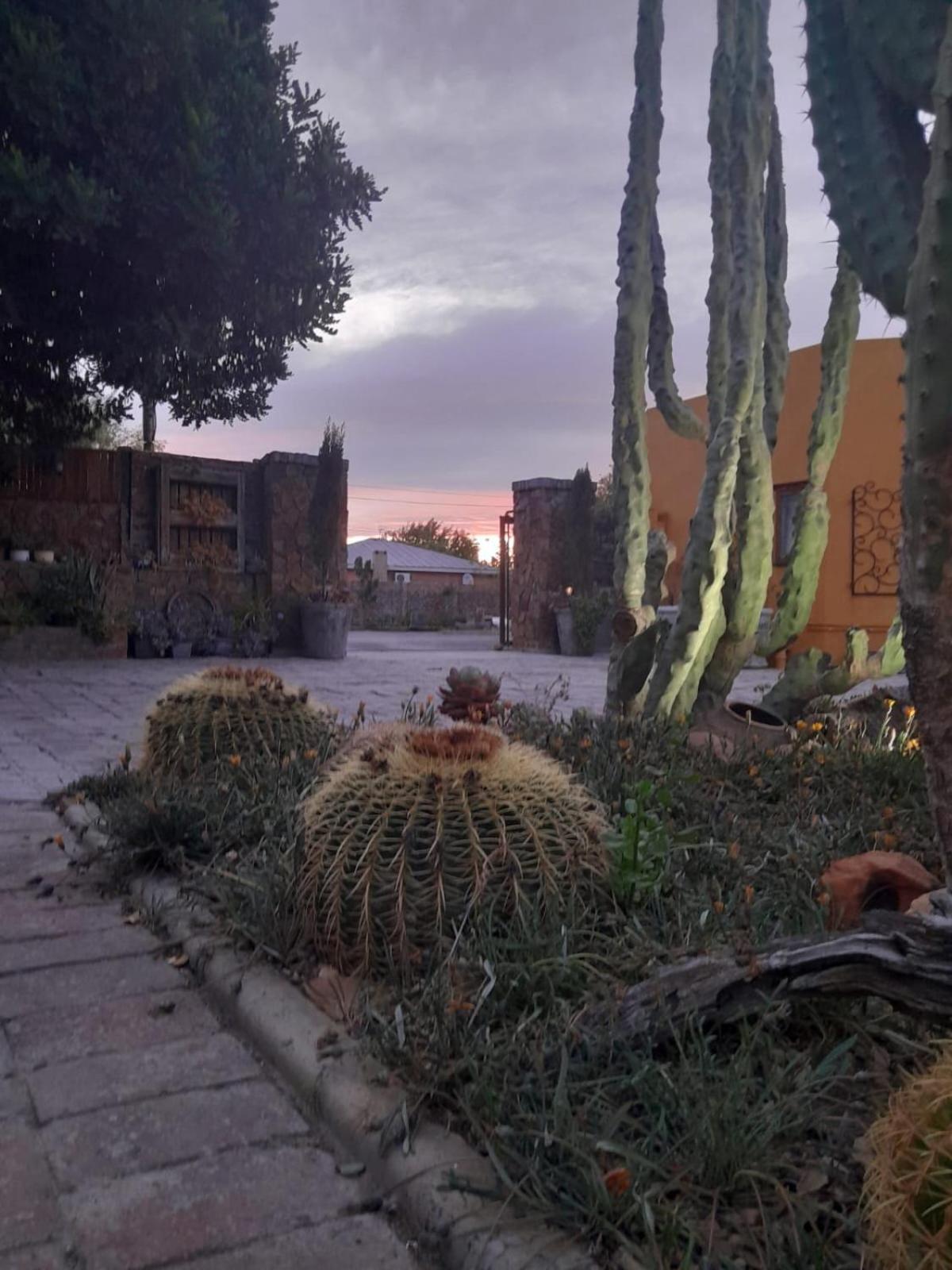 Villa Contessa Beaufort West Zewnętrze zdjęcie